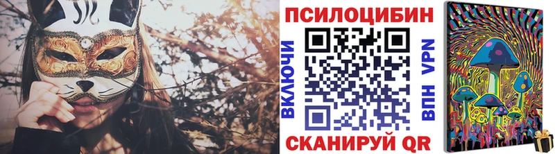 Галлюциногенные грибы Psilocybine cubensis  купить наркотики цена  Кулебаки 