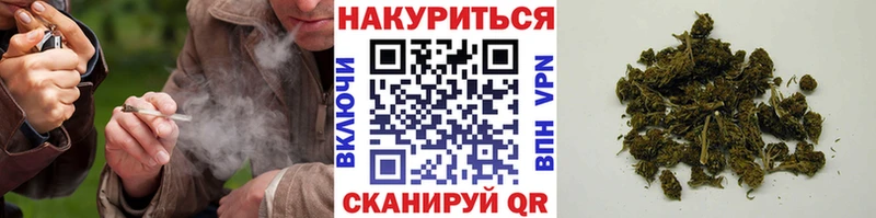 где можно купить   Кулебаки  мега ONION  Конопля семена 